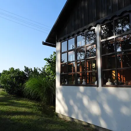 The House Of The Rising Sun